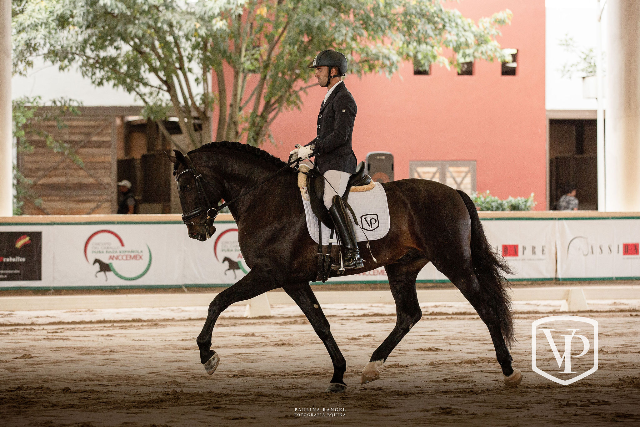 Letrado LXXXIV